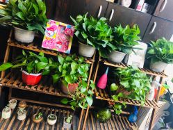 -美奈サロン美甲美睫皮肤管理