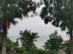 -崇武古城风景区