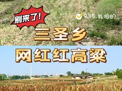 -三圣花乡旅游区