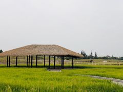 -MUSEO COFFEE咖啡博物馆