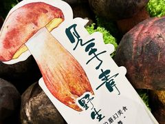 -菌自由丨野生菌火锅特色庭院餐厅(丽江古城店)
