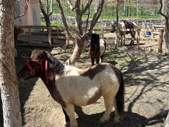 -水上乐园·欢乐世界