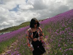 -贵州云顶草原民族风情园