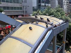 -中环半山扶手电梯