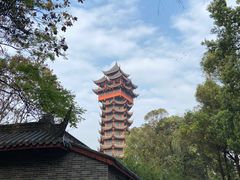 -塔子山公园