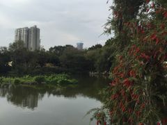 -人民公园(罗湖区)