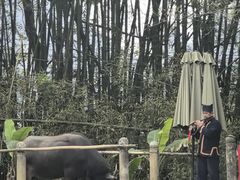 -明仕田园