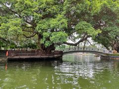 -荔湾湖公园
