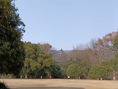 -灵谷景区