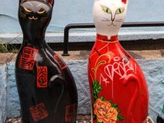 -猫咪博物馆(顶澳仔猫街店)