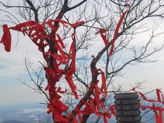 -句容茅山景区