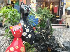 -猫咪博物馆(顶澳仔猫街店)