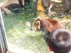 -柳州市动物园