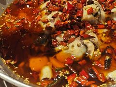 -天辣(金桥啦啦宝都店)
