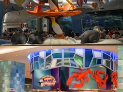 -帝企鹅自助餐厅•儿童岛•真企鹅(长隆企鹅酒店)