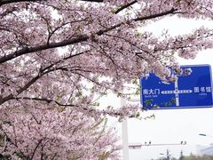 -江南大学(蠡湖校区)