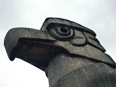 -南山植物园