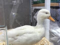 -狗道宠物(常熟印象城店)