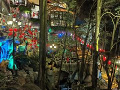 -巴倒烫陆派重庆火锅(南山店)