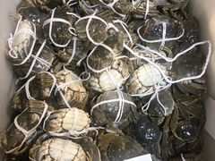 -黄记大闸蟹专卖店·活蟹·醉蟹
