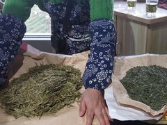 -龙坞茶村
