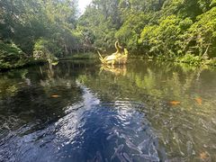 -海口火山口国家地质公园