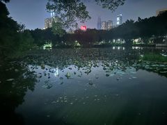 -人民公园(罗湖区)