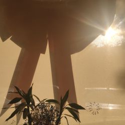 -花岐款式专研健康美甲沙龙