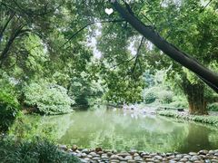 -成都市活水公园
