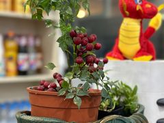 -郭姐·威海渔村(黄兴路店)