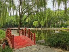 -玲珑塔公园