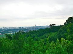 -火炉山森林公园