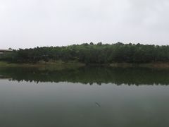 -南京市无想山景区