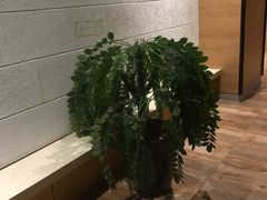 -御池园(顾村公园店)