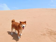 -达拉特旗响沙湾旅游区