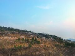 -鬼笑石后山停车场