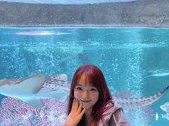 -沈阳海洋探索中心