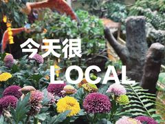 -正佳雨林生态植物园