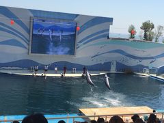 iphone_upload_pic-北戴河圣蓝海洋公园