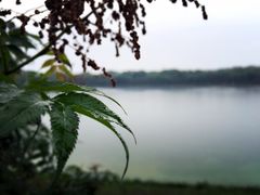 -素心小筑(后沙裕镇店)