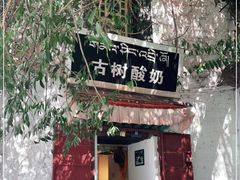 门面-古树酸奶(八廓南街店)