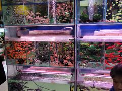 -三旗百汇商品城