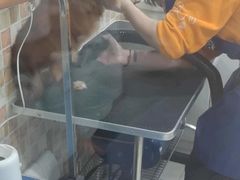 -汪小喵宠物·戴维斯乐芳希施宠馨宝皮毛调理洗护店