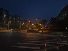 -新江湾城公园