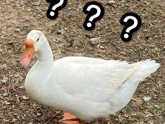 -长安大学(北校区)