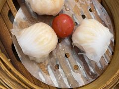 -益健美食大广场(北岭店)