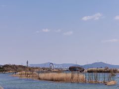 -太湖湖滨国家湿地公园-停车场