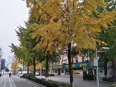 -四川大学(望江校区)