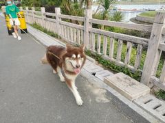 -碧桂园十里银滩