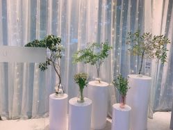 -Hi Beauty Skin 科技美肤中心